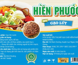 Mỳ Gạo Lứt