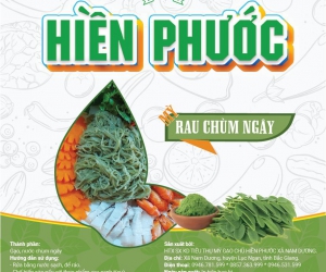 Mỳ Rau Chùm Ngây